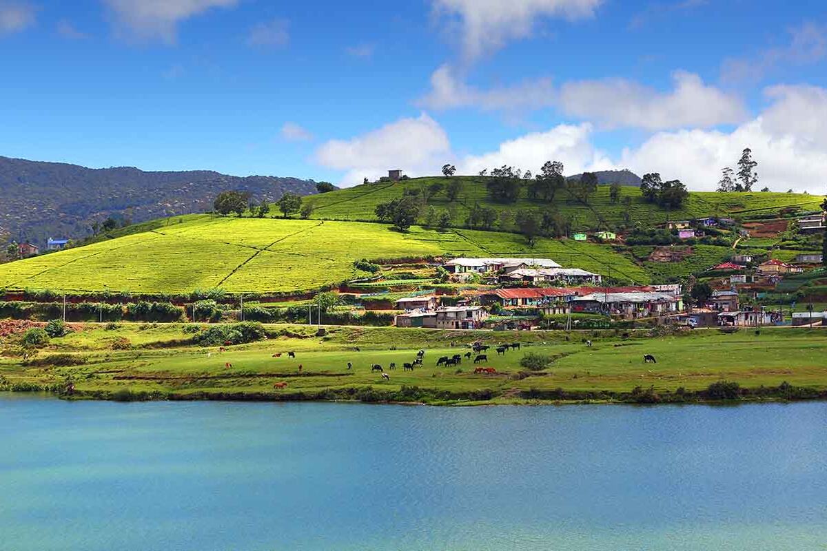 Nuwara Eliya