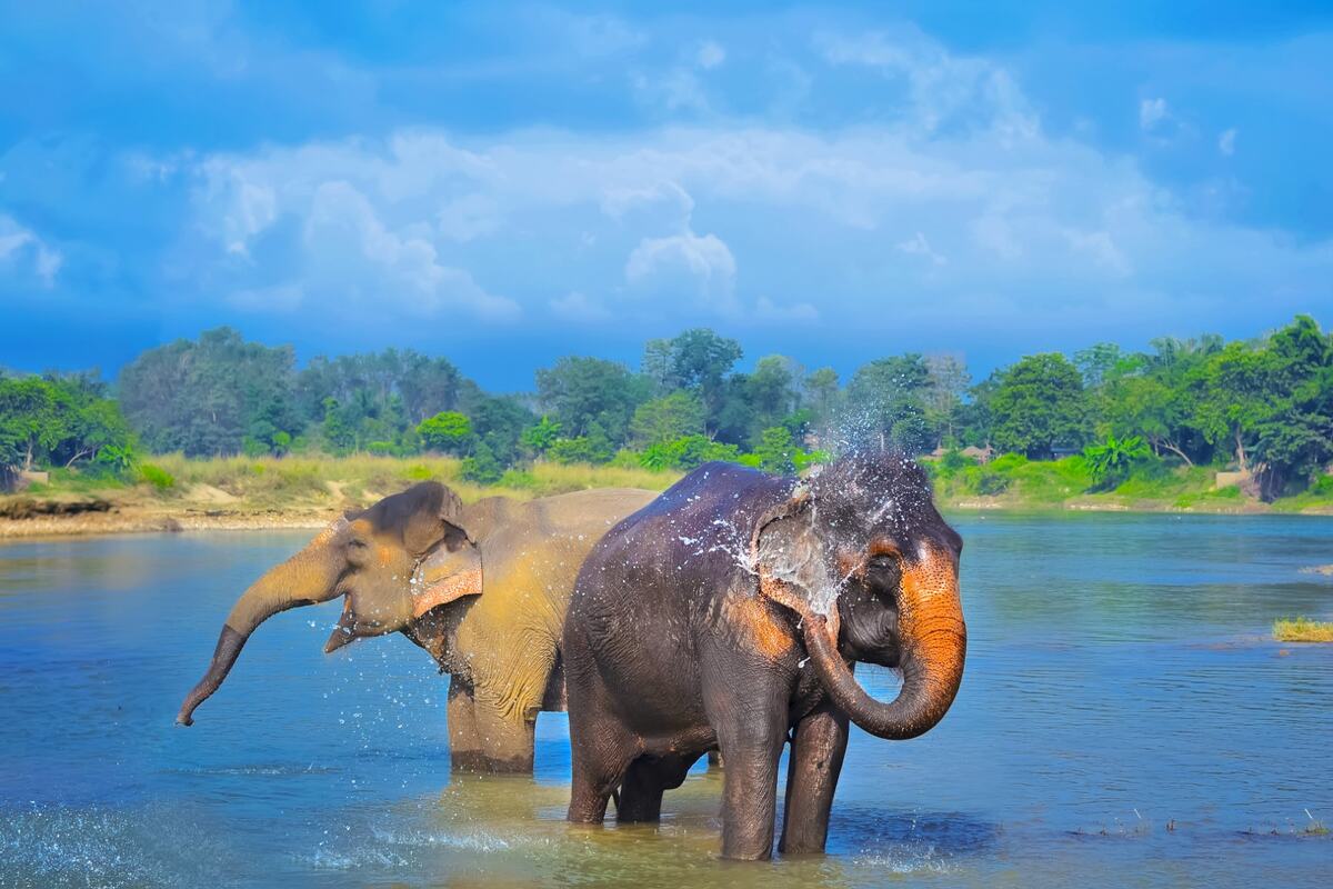 Parque Nacional de Chitwan