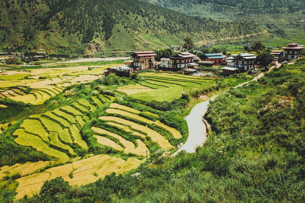 Punakha