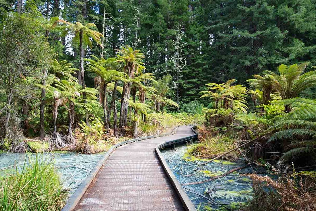 Rotorua