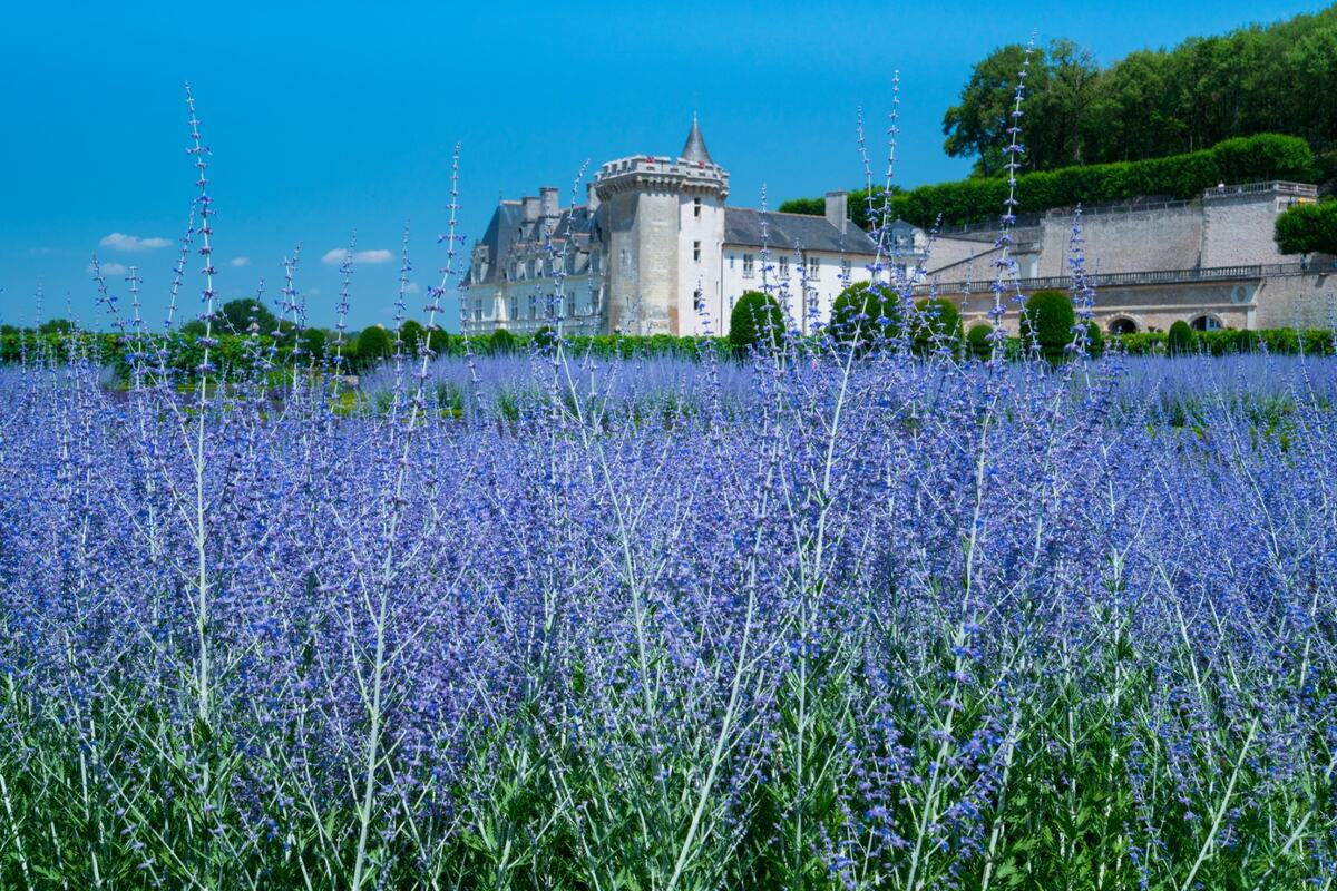 Villandry