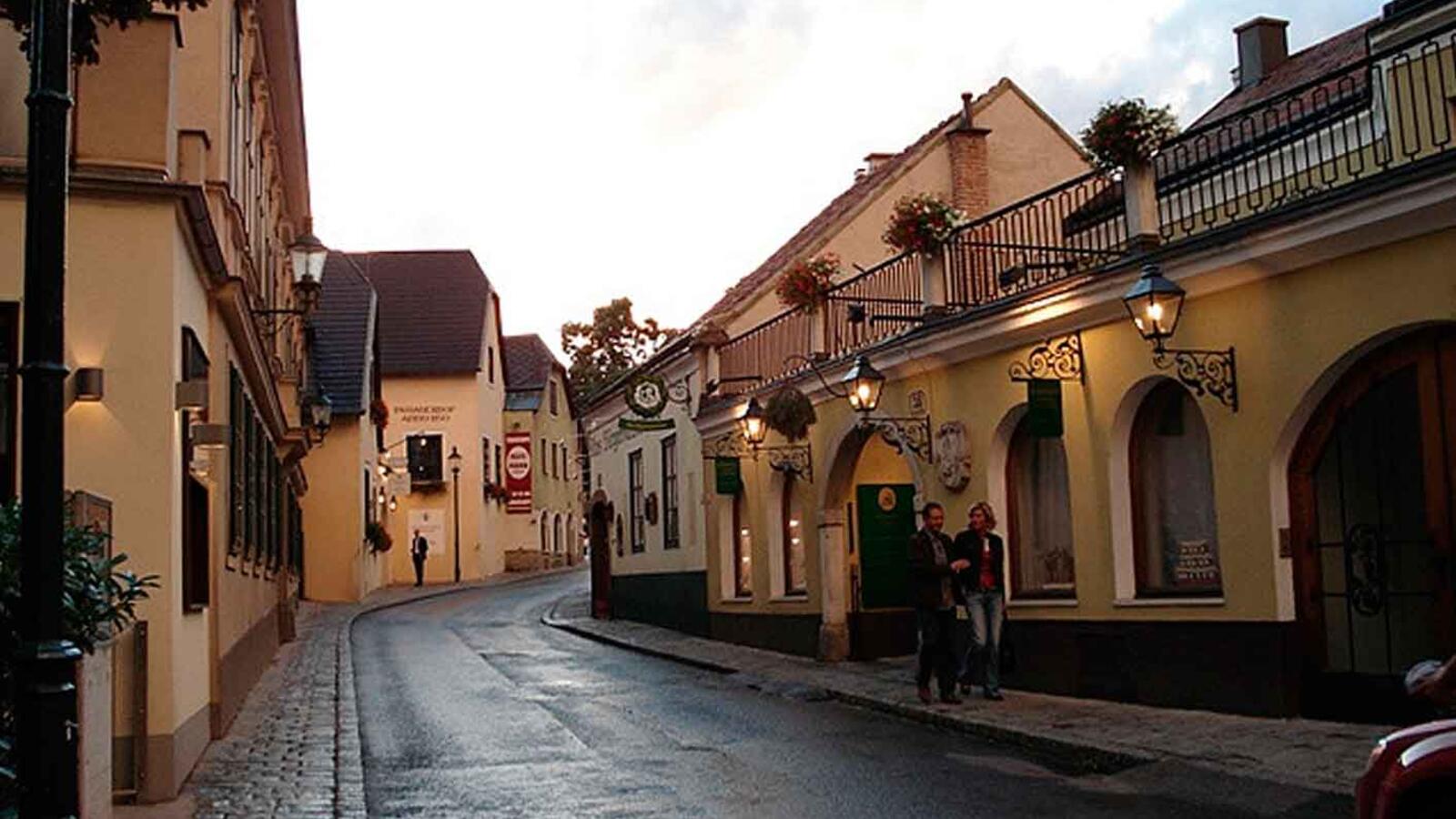 Circuitos por Viena