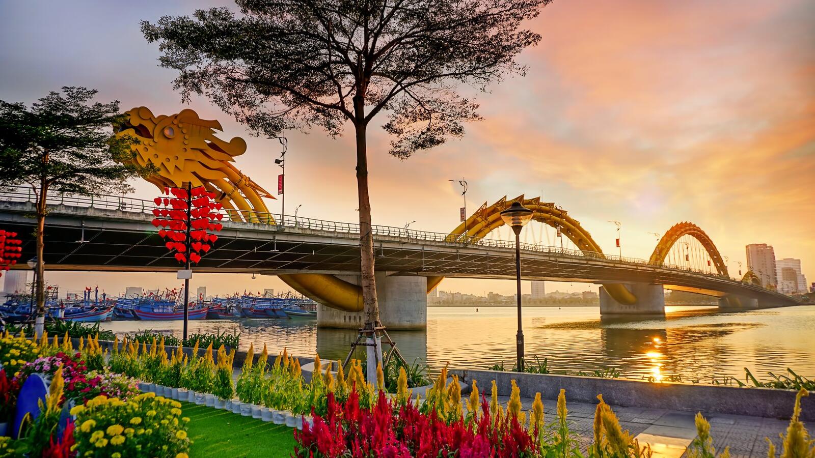 Viaje Vietnam Esencial: Hanoi, Halong, Hoi An y la Magia del Sur para mayores de 55 años