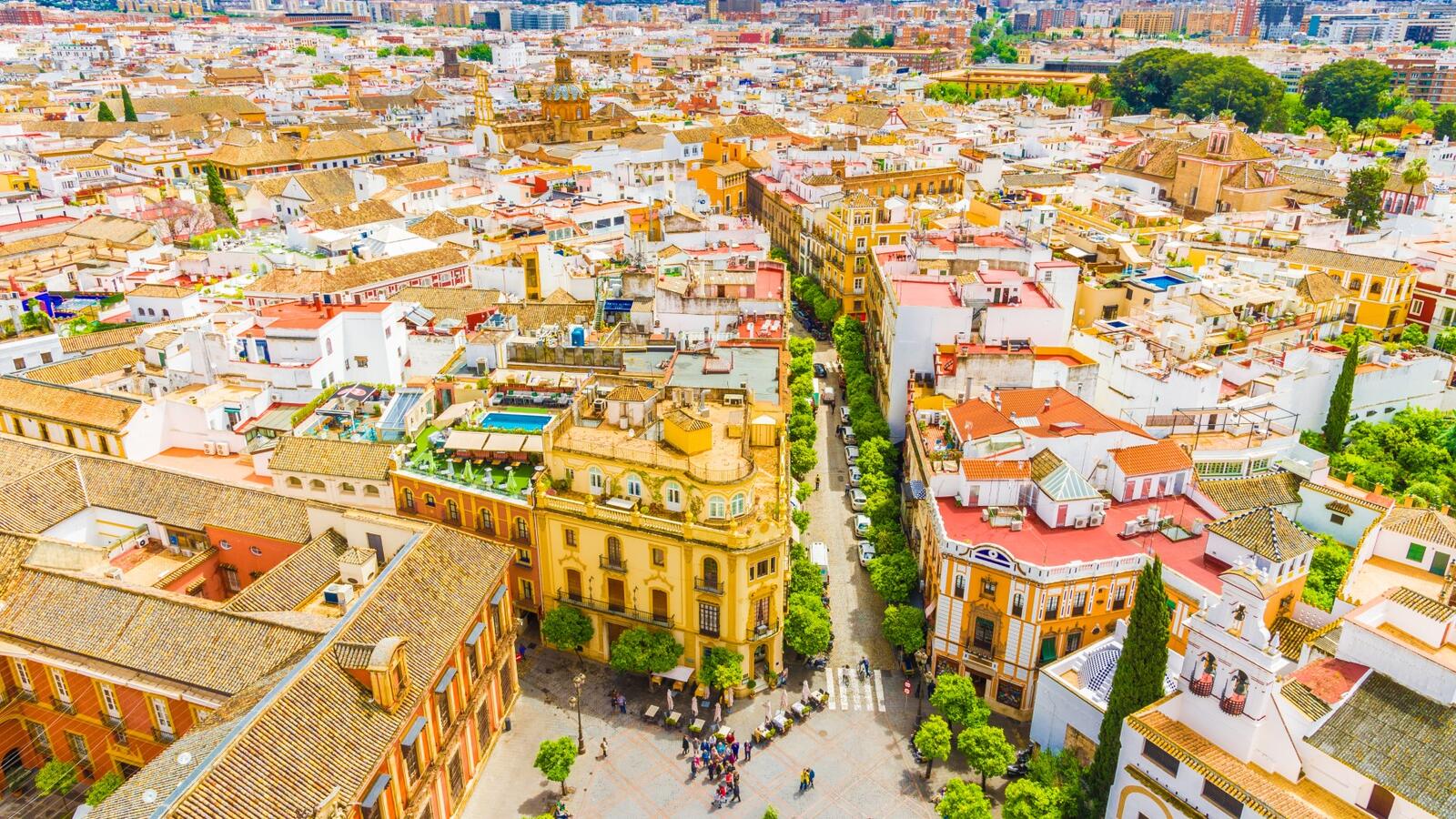 Circuitos por Sevilla