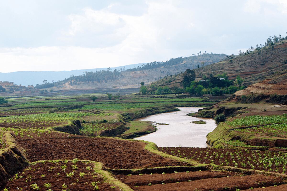 Madagascar Esencial: Naturaleza, Cultura y Aventura en la Isla Roja