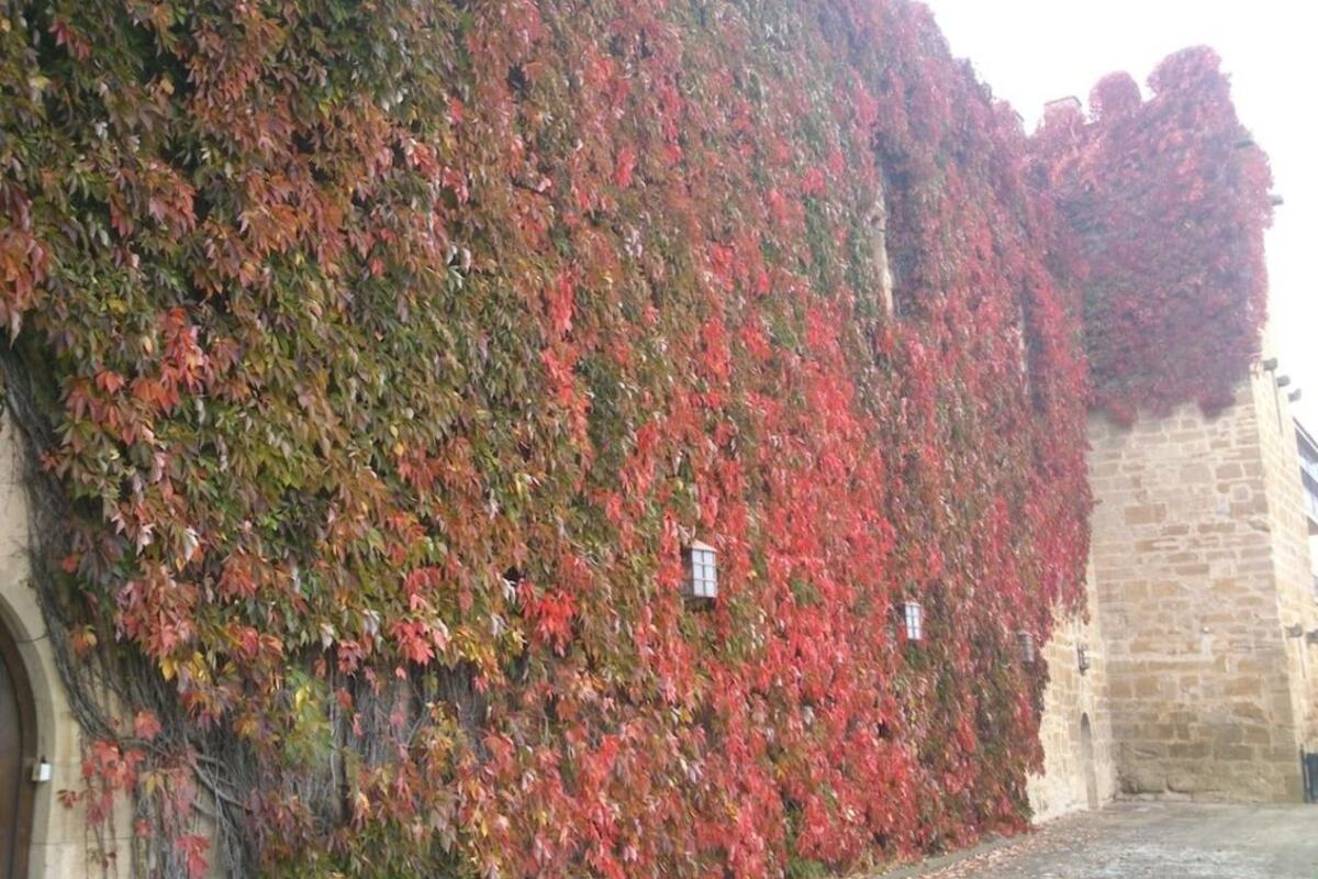 Parador de Olite
