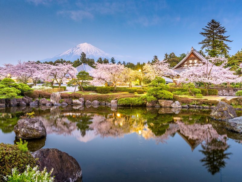 Viajes organizados a Japón