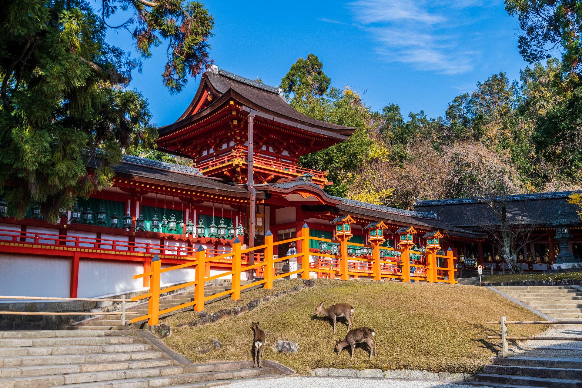 Japón Ukiyo 2 - Salida Exclusiva Icárion Semana Santa 2027 - 21 Marzo