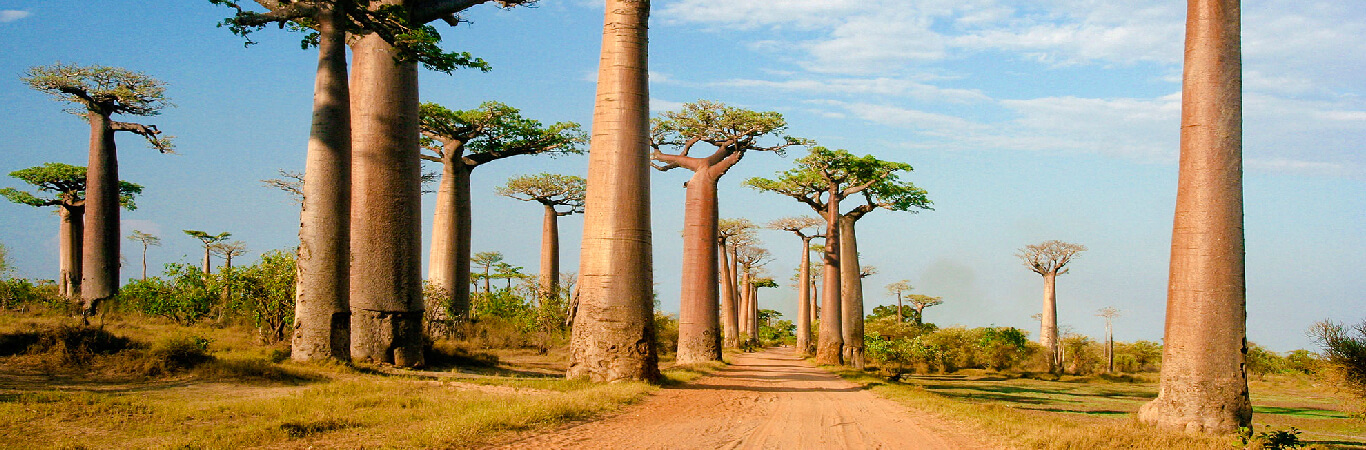 Circuitos por Madagascar 2023