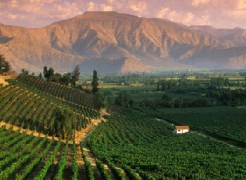 Mendoza