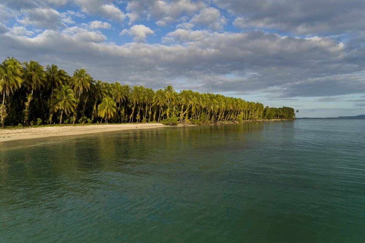 Bocas del Toro