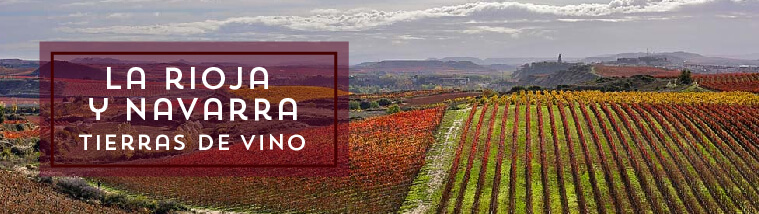 Circuito La Rioja y Navarra, las Tierras del vino