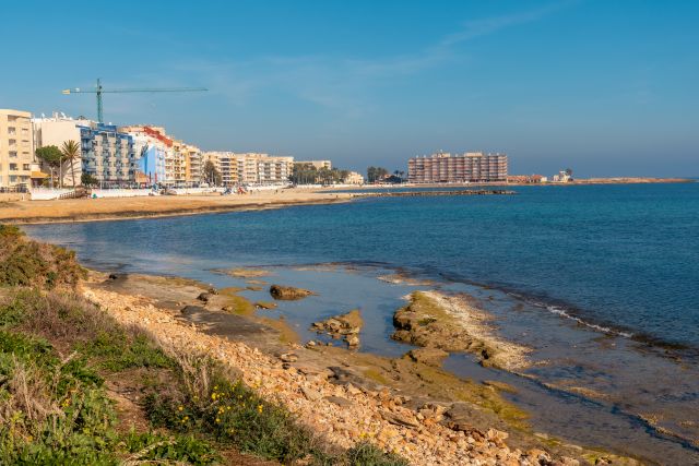 Playa del Cura de Torrevieja con palmeras