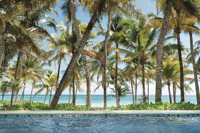 Catalonia Royal Tulum Beach & Spa Resort ¨Solo Adultos¨ · foto 5
