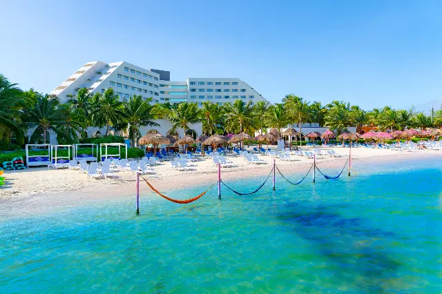 Grand Oasis Palm · foto 2