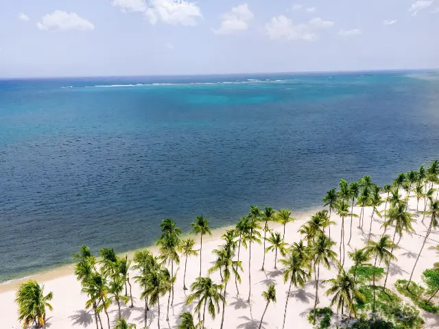 Hyatt Vivid Punta Cana (Adults Only) · foto 2