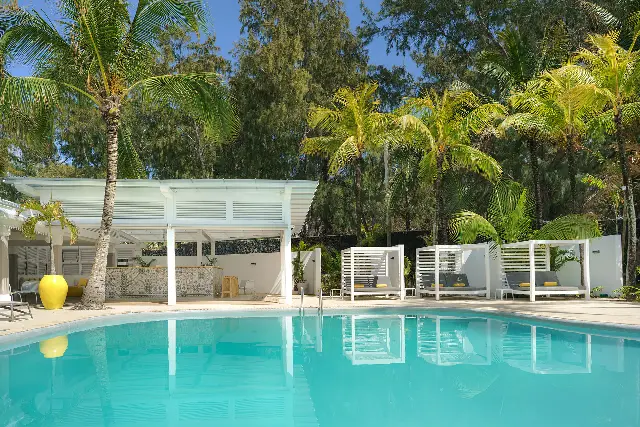 Tropical Attitude (Adults Only)